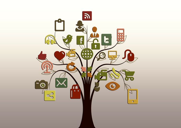 How to Build a Strong Social Media Presence