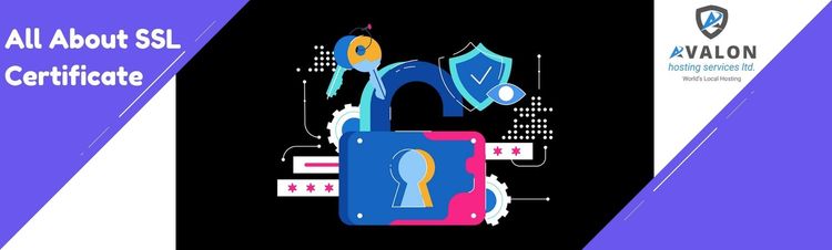 The 2022 Guide to SSL Certificate for web Security